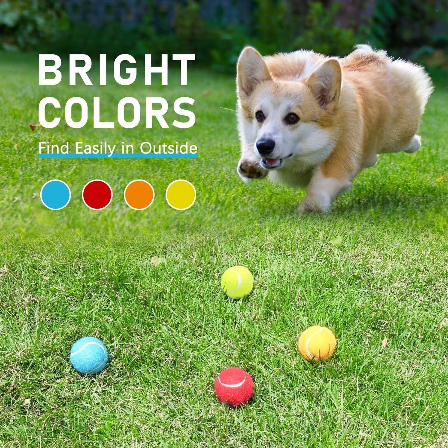 Prime Pets Tennis Balls for Dogs, Squeaky Dog Toy, Interactive Pet Fetch Ball for Medium and Large Dogs, Squeaky Dog Toys