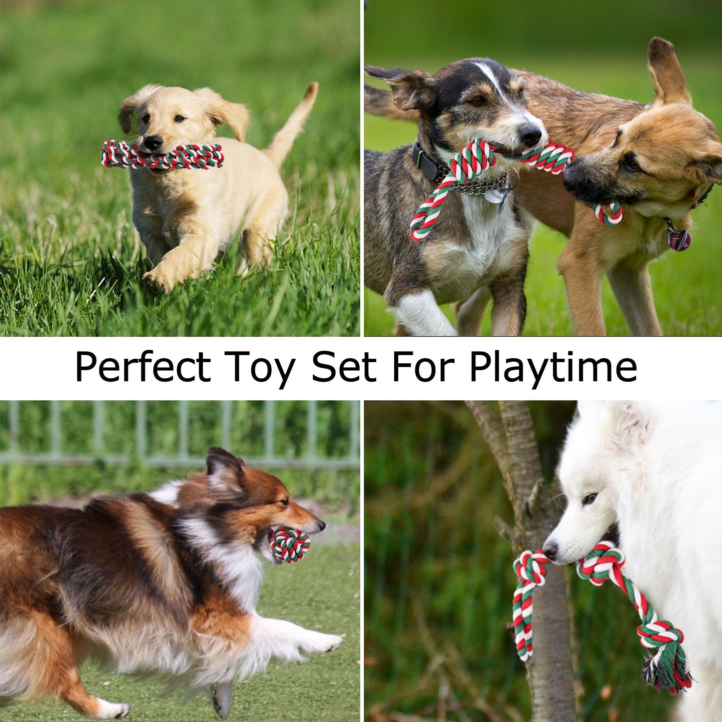 Prime Pets 5 PCS Dog Toys, Dog Rope Toys and Flying Disc Set for Small & Medium Dogs, Tough Rope Chew Toys, Interactive Durable Puppy Dog Tug of War for Dog Teething Dental Cleaning