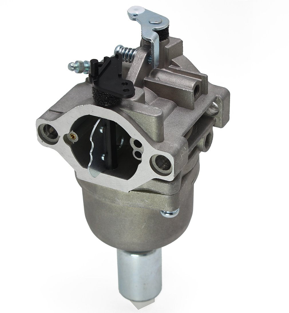LotFancy Carburetor for Briggs and Stratton 794572 793224 697141 697190 698445 791888 792358 791858 31A507 31A607 31A707 31A777 31B707 31B775 31C707 31C777 31D707 31D777 31E577 31E607