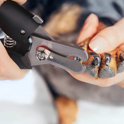 Prime Pets Self-Cleaning Slicker Brush + 2 Free Bonuses | Cat Flea Comb + Pet Nail Clippers |Pet Grooming Supplies Great for All Breeds & Hair Types