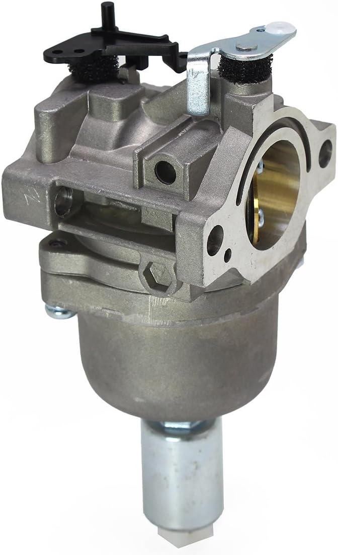 LotFancy Carburetor for Briggs and Stratton 794572 793224 697141 697190 698445 791888 792358 791858 31A507 31A607 31A707 31A777 31B707 31B775 31C707 31C777 31D707 31D777 31E577 31E607