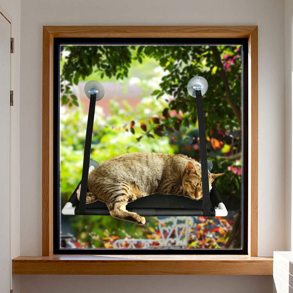 Prime Pets Cat Window Perch for Large Cats, 60x31cm Cat hammocks for Indoor Cats, 4 Suction Cups Carry 20 Pound, 360 Degree Sunbathing and Landscape (Cat Window Perch(Mesh Style))