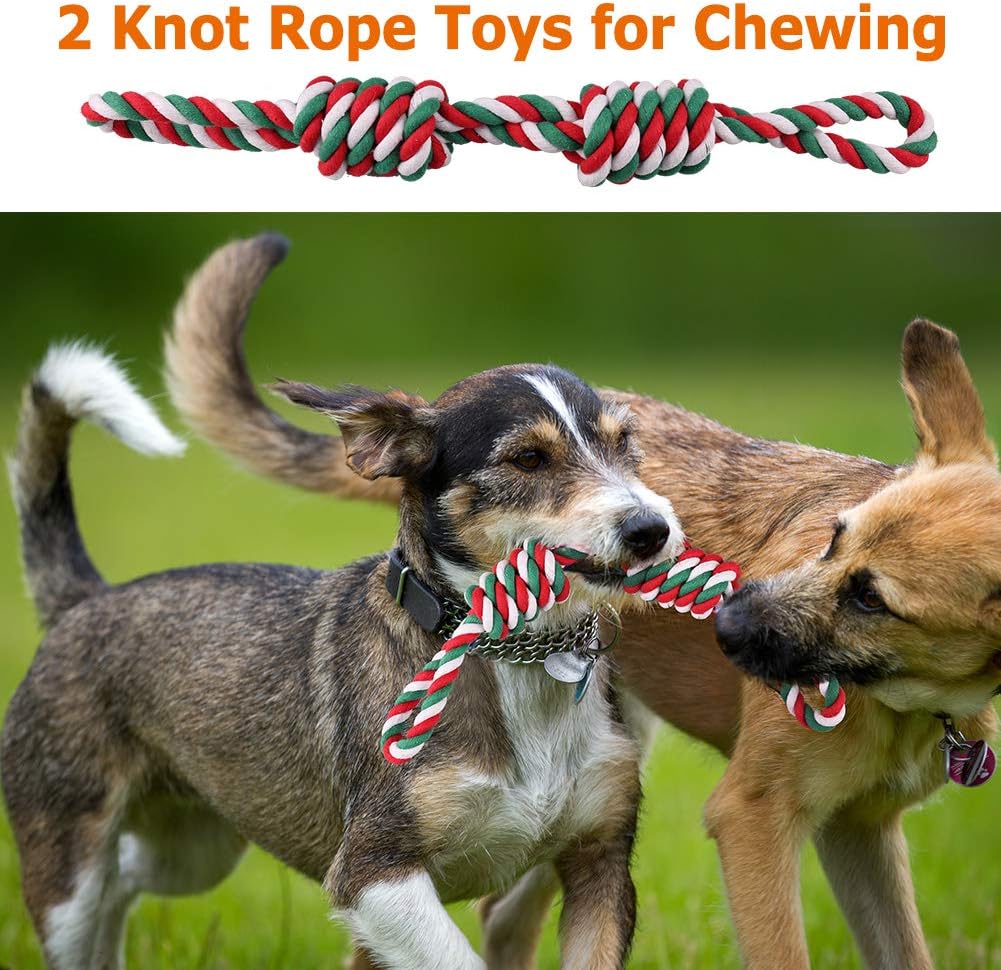 Dog Toys - Dog Rope Toys - Dog Rope Chew Toy for Small and Medium Dogs - Set of 5 XL Dog Rope Toys Set for Chewing, Tug of War and Frisbee