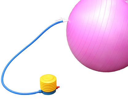LotFancy Exercise Stability Ball with Foot Pump Fitness Balance Ball for Yoga Pilates Gym, Thick, Heavy Duty, Anti-Burst, 55cm 65cm 75cm Available