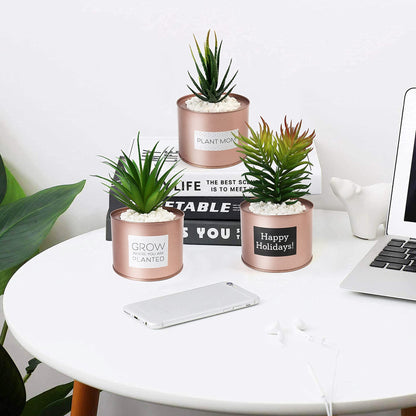 LotFancy Artificial Plant, 3Pack 8" Faux Succulent Plants for Office Home Décor