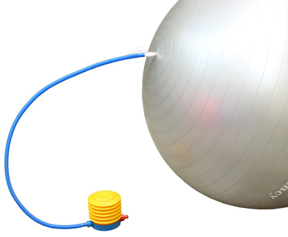 LotFancy Exercise Stability Ball with Foot Pump Fitness Balance Ball for Yoga Pilates Gym, Thick, Heavy Duty, Anti-Burst, 55cm 65cm 75cm Available