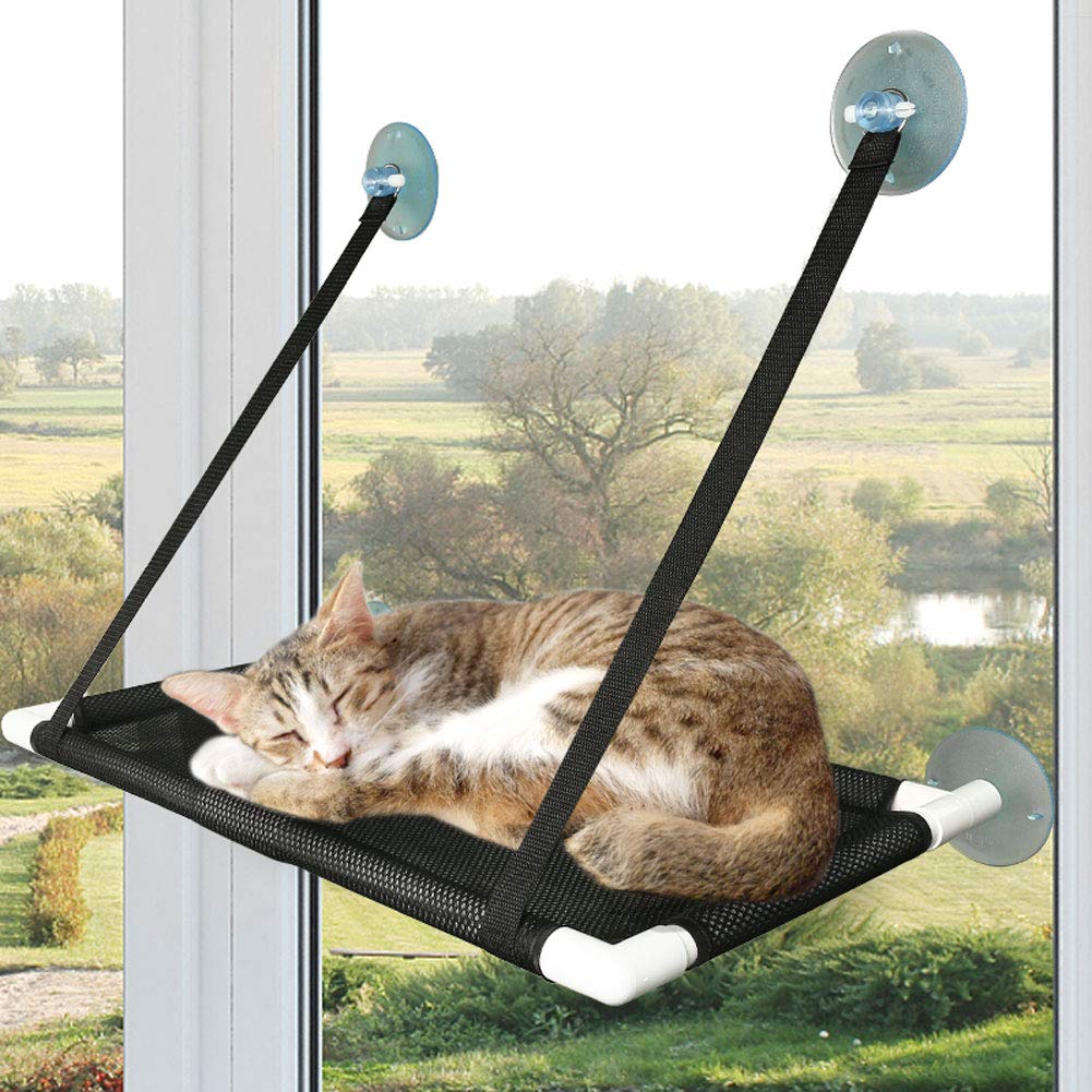 Prime Pets Cat Window Perch for Large Cats, 60x31cm Cat hammocks for Indoor Cats, 4 Suction Cups Carry 20 Pound, 360 Degree Sunbathing and Landscape (Cat Window Perch(Mesh Style))