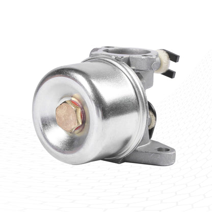 LotFancy Carburetor for Briggs & Stratton 799866 790845 799871 796707 794304 Toro Craftsman Carb