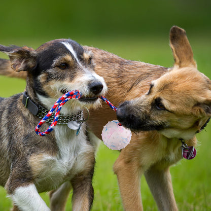 Prime Pets Dog Training Ball on Rope, 2 Pcs Solid Rubber Rope Ball, Tug Ball Toy for Medium and Small Dog, Tough Rope Toy, Non-Toxic and Durable Dog Toys