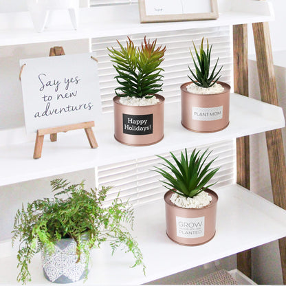 LotFancy Artificial Plant, 3Pack 8" Faux Succulent Plants for Office Home Décor