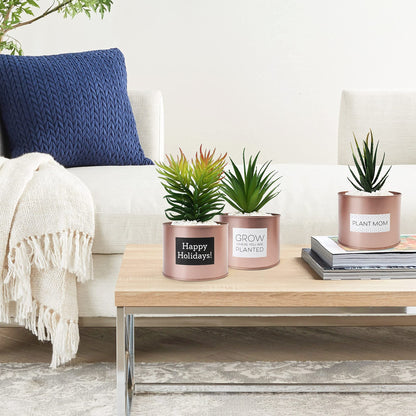 LotFancy Artificial Plant, 3Pack 8" Faux Succulent Plants for Office Home Décor