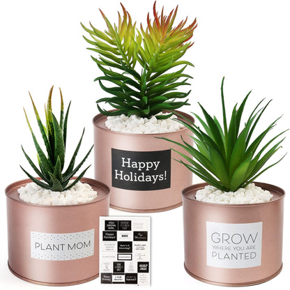 LotFancy Artificial Plant, 3Pack 8" Faux Succulent Plants for Office Home Décor