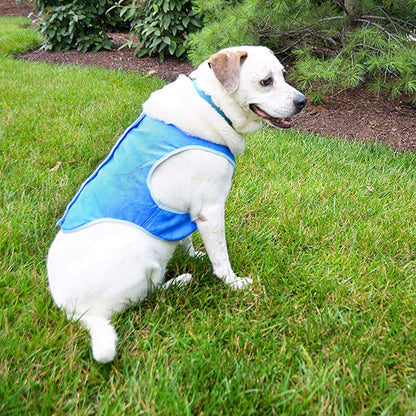 LotFancy Dog Cooling Vest Swamp Cooler Dog Jacket Coat for Puppy Dog Cats Kittens Pets, Blue