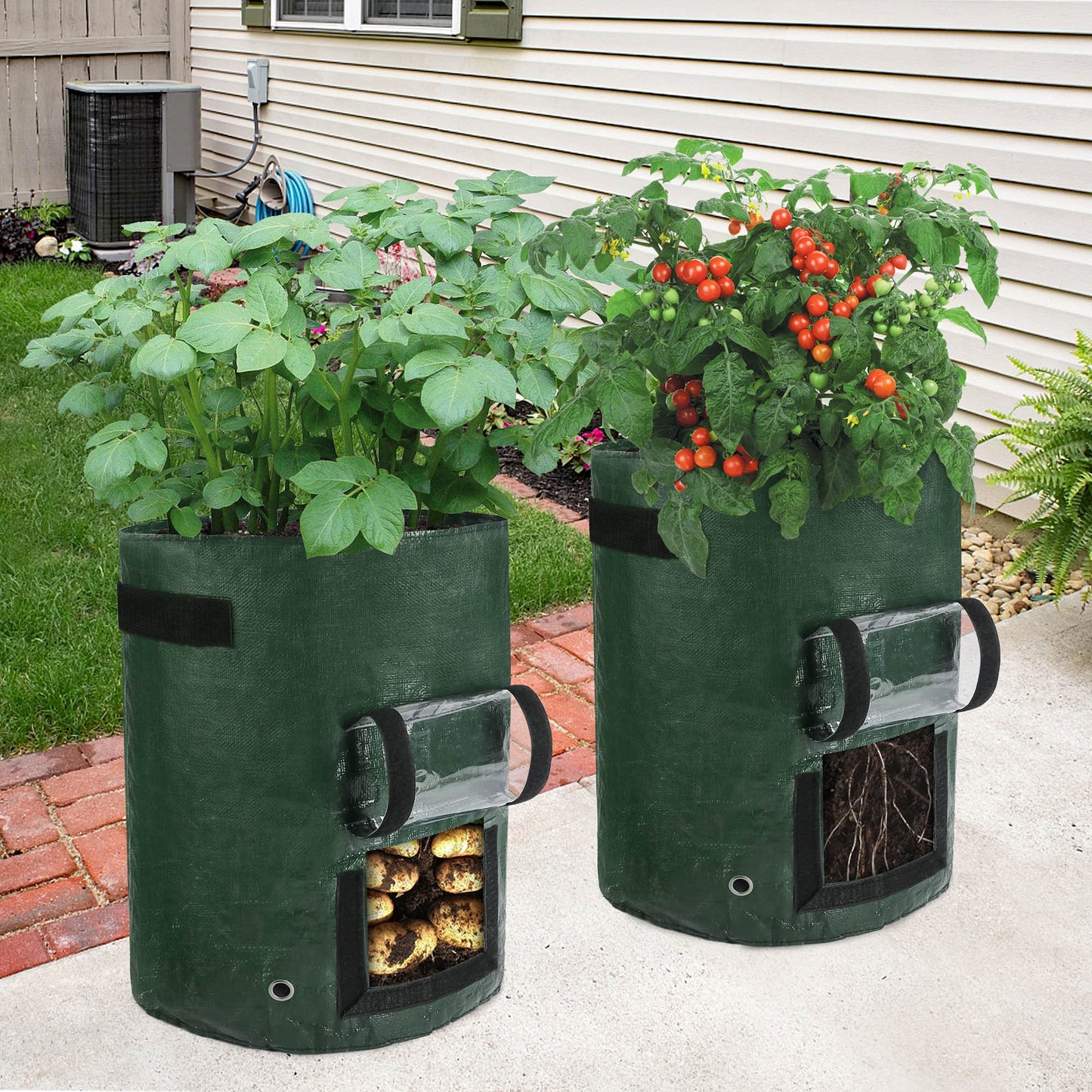 LotFancy Potato Grow Bags, 2 Pack, 10 Gallon Garden Plant Containers with Transparent Flap Window,Handles, PE Planter Pots for Vegetable, Carrot, Tomato, Onion, Dark Green